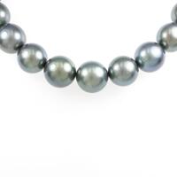 シルバークラスプ クロチョウパールネックレス