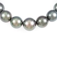 シルバークラスプ クロチョウパールネックレス