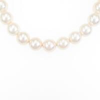 シルバークラスプ アコヤパールネックレス