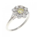 PT ダイヤモンド リング 0.198CT FY SI2