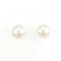 K14WG 白蝶パール ピアス 12.0mm