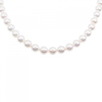 シルバークラスプ アコヤパール ネックレス 7-7.5mm