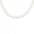 【新品】シルバークラスプ アコヤパール ネックレス 8-8.5mm