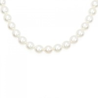 【新品】シルバークラスプ アコヤパール ネックレス 8-8.5mm