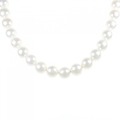 【新品】シルバークラスプ アコヤパール ネックレス 8.0-8.5mm