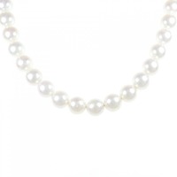 【新品】シルバークラスプ アコヤパール ネックレス 8.0-8.5mm