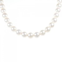 【新品】シルバークラスプ/K14WG 花珠 アコヤパール ネックレス イヤリング セット 7.5-8.0mm