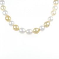 シルバークラスプ 白蝶パール ネックレス 8-9.8mm