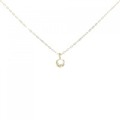 アーカー ラサブランカ 2010年X'mas限定 ネックレス