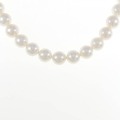 シルバークラスプ アコヤパール ネックレス 7.5-8mm