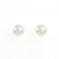タサキ アコヤパール ピアス 8.3mm