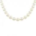 シルバークラスプ アコヤパール ネックレス 7.5-8mm