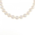 シルバークラスプ アコヤパール ネックレス 8-8.5mm