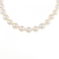 シルバークラスプ アコヤパール ネックレス 8-8.5mm