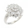 PT ダイヤモンド リング 1.02CT