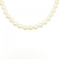 シルバークラスプ アコヤパール ネックレス 7.5-8mm