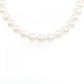 シルバークラスプ アコヤパール ネックレス 7-7.5mm