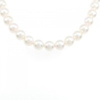 シルバークラスプ アコヤパール ネックレス 7-7.5mm