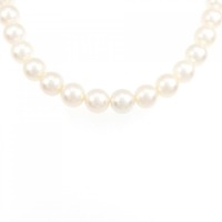 シルバークラスプ アコヤパール ネックレス 7.5-8mm