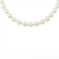 シルバークラスプ アコヤパール ネックレス 7.5-8mm