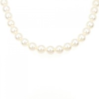 タサキ アコヤパール ネックレス 8-8.5mm