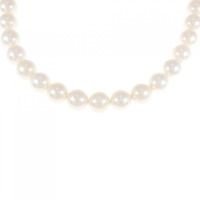 シルバークラスプ アコヤパール ネックレス 7.5-8.0mm