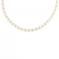 シルバークラスプ アコヤパール ネックレス 5-5.5mm