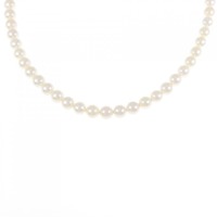 シルバークラスプ アコヤパール ネックレス 5-5.5mm