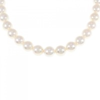 シルバークラスプ アコヤパール ネックレス 8-8.5mm