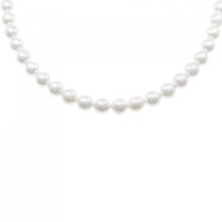 【新品】シルバークラスプ アコヤパール ネックレス 7-7.5mm