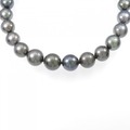シルバークラスプ 黒蝶パール ネックレス 10.8-13.7mm