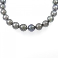 シルバークラスプ 黒蝶パール ネックレス 10.8-13.7mm