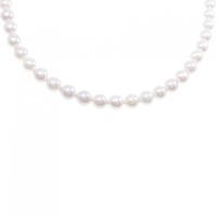 シルバークラスプ アコヤパール ネックレス 6.5-7mm