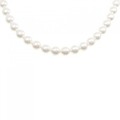 シルバークラスプ アコヤパール ネックレス 7.5-8mm