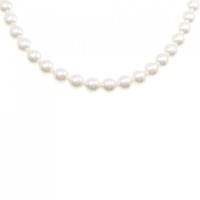 シルバークラスプ アコヤパール ネックレス 7.5-8mm