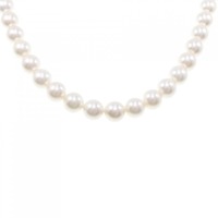 シルバークラスプ アコヤパール ネックレス 8-8.5mm