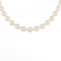 シルバークラスプ アコヤパール ネックレス 7-7.5mm