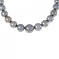 シルバークラスプ 黒蝶パール ネックレス 8-12.5mm