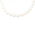 シルバークラスプ アコヤパール ネックレス 7-8.5mm