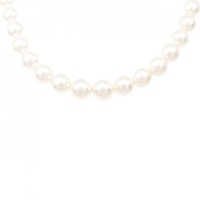 シルバークラスプ アコヤパール ネックレス 7-8.5mm