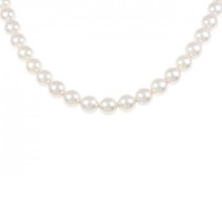 シルバークラスプ アコヤパール ネックレス 7.0-7.5mm