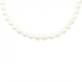シルバークラスプ アコヤパール ネックレス 7-7.5mm