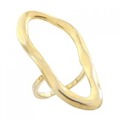 ADER RING