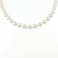 シルバークラスプ アコヤパール ネックレス 8.0mm