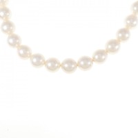 シルバークラスプ アコヤパール ネックレス 8-8.5mm