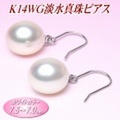 K14WG淡水真珠ピアス（ホワイトカラー／7.5〜7.0mm）