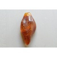 アンバー（琥珀）穴あき【9】天然石ルース・カボション・原石（34.5×16mm）