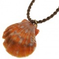 サンライズシェル ハワイの大自然が作り出した希少なサンライズシェルネックレス