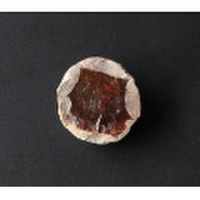 ツーソン2018！激安!貴重なノジュールオパールの原石 10 /10月 【天然石・パワーストーン】