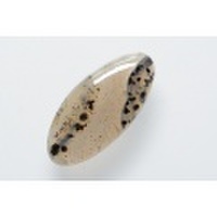 デンドリティックアゲート【15】天然石ルース・カボション　（35.5×16.5mm）